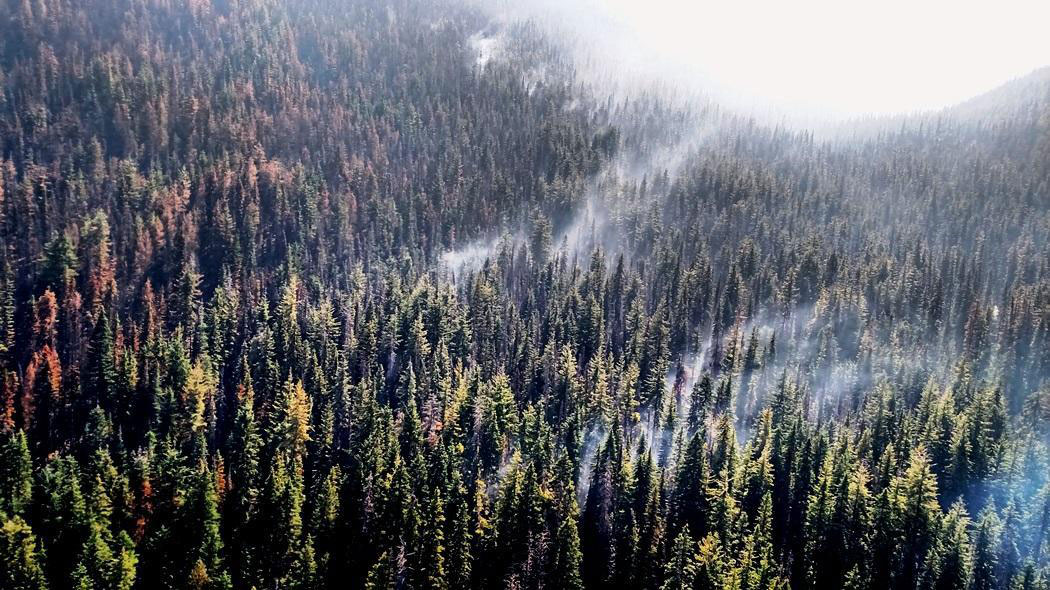Firewise&reg;-Madera-County-NWCG-Fire-Forest