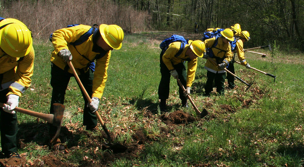PC: Delaware Forest Service